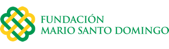 LogoFundacionMarioSantoDomingo2018